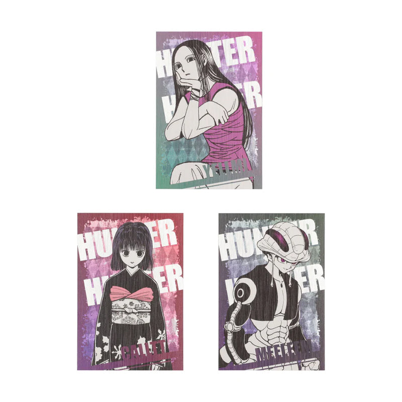 「HUNTER×HUNTER」 Postcard Collection