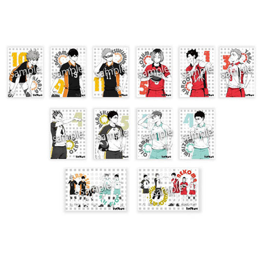 ｢HAIKYUU!!｣ Portrait Style A5 Postcard